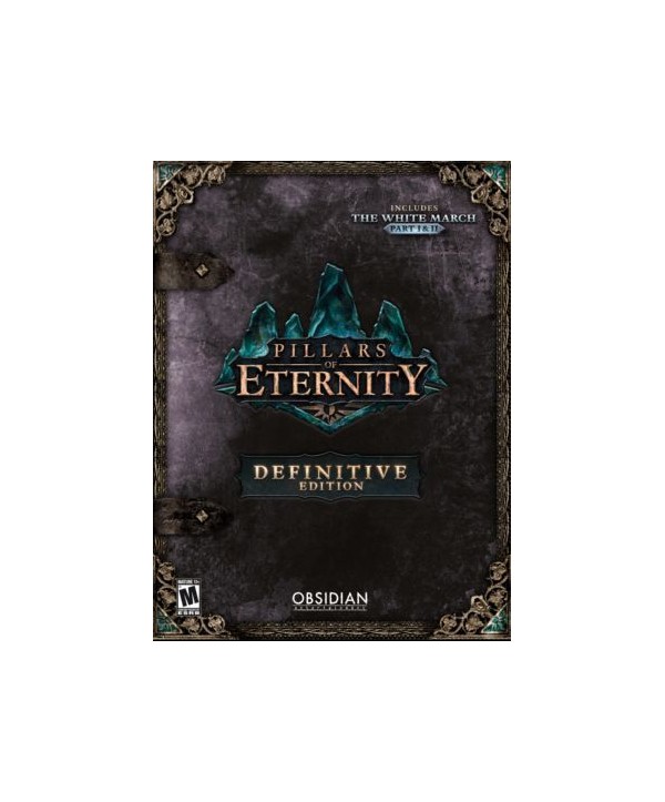 Pillars of Eternity Definitive Edition GOG.com Key GLOBAL